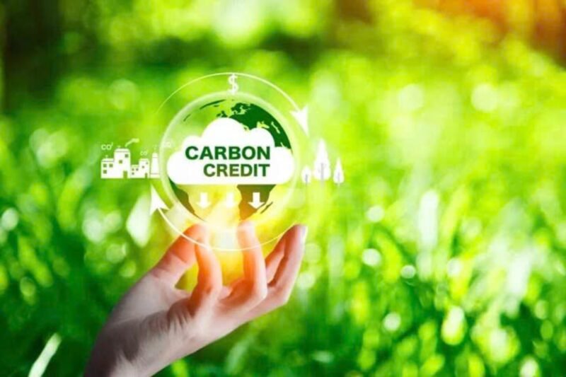 不藏私公开Carboncore使用条件，真实可靠的信息才是你安心采用的最大保障