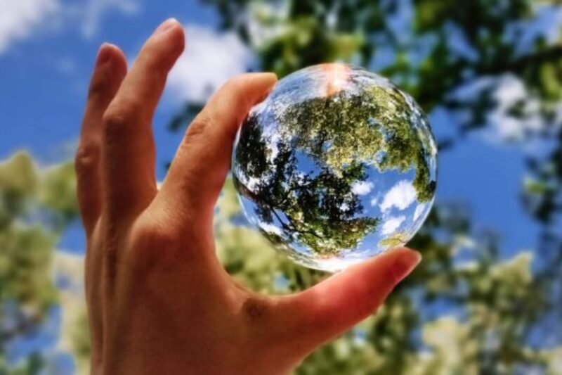 在一座旧工厂和一片新林地之间，一则围绕 CarbonCore 碳中和战略 展开的数字化实验