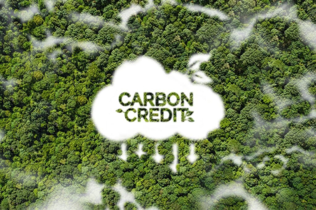 Carbon credit 怎么卖